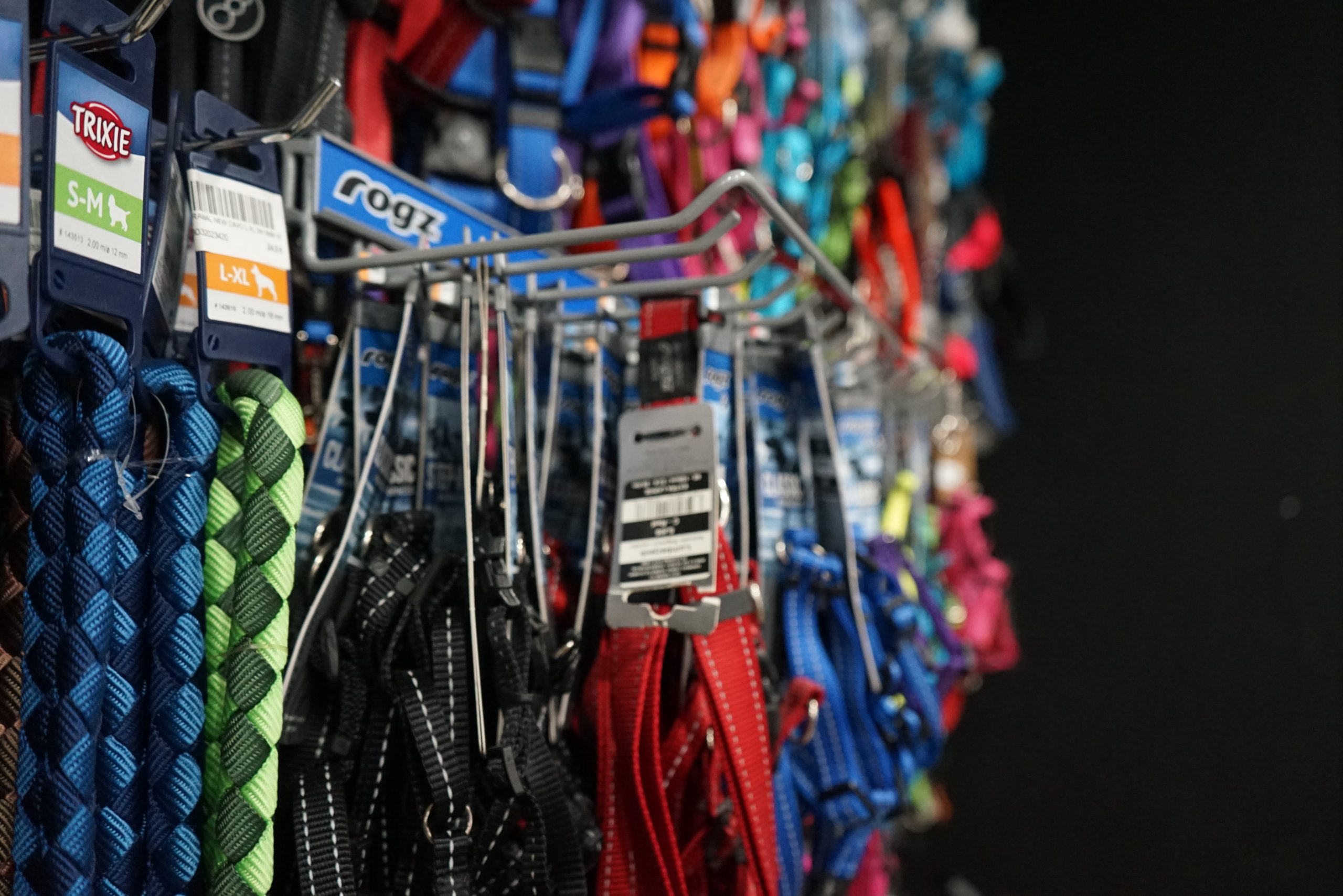 imagenes del interior de la tienda